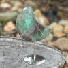 Rainbow Fluorite Crescent Moon on Stand