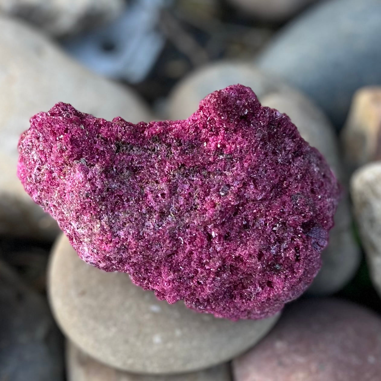 Ruby with Pyrite Specimen