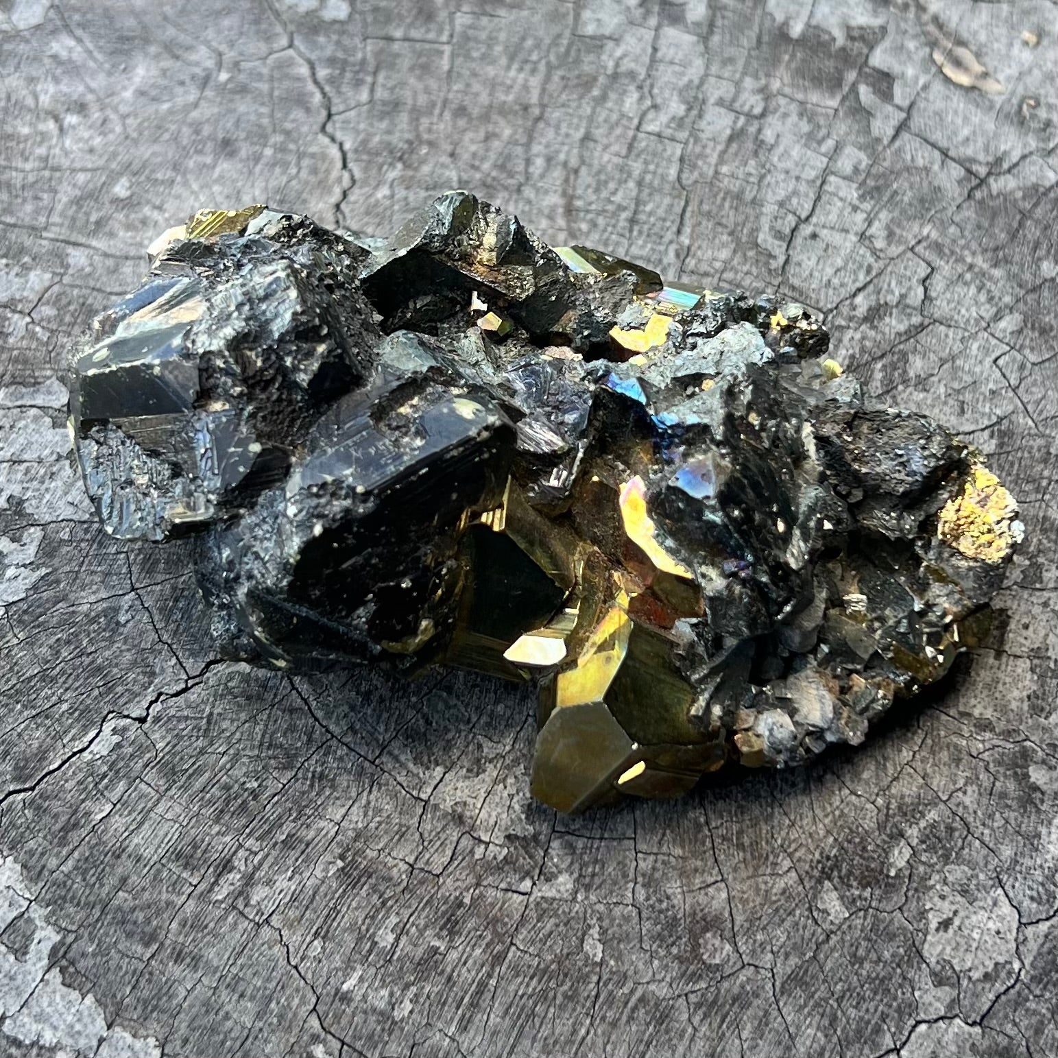 Galena with Pyrite