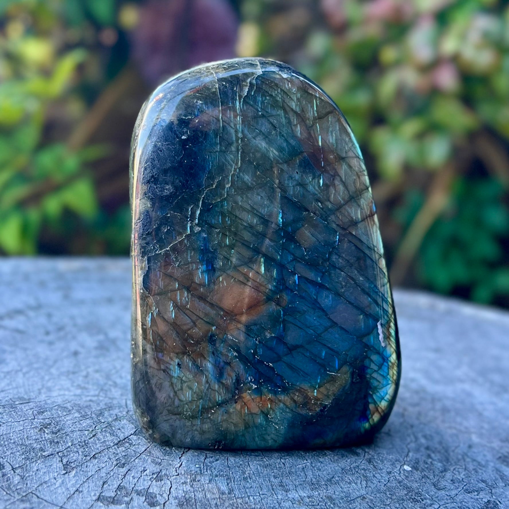 Labradorite Freeform