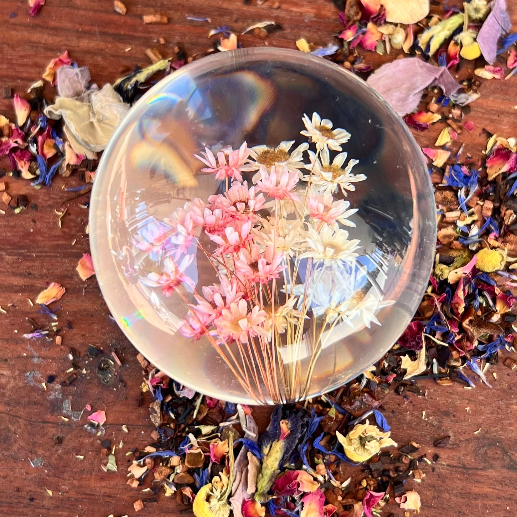 Daisy Dried Flower Sphere