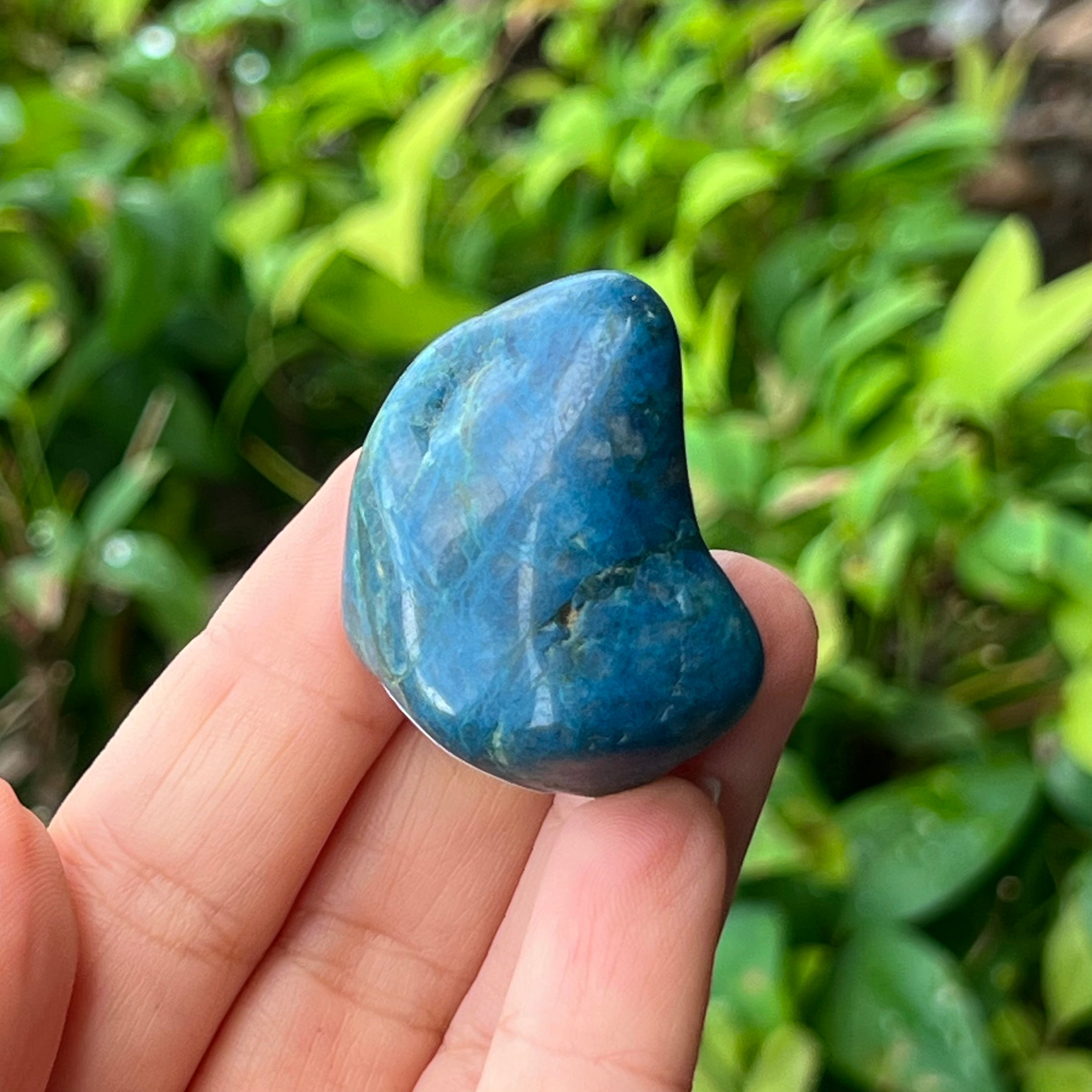 Blue Apatite  ~ Specialty Crystal