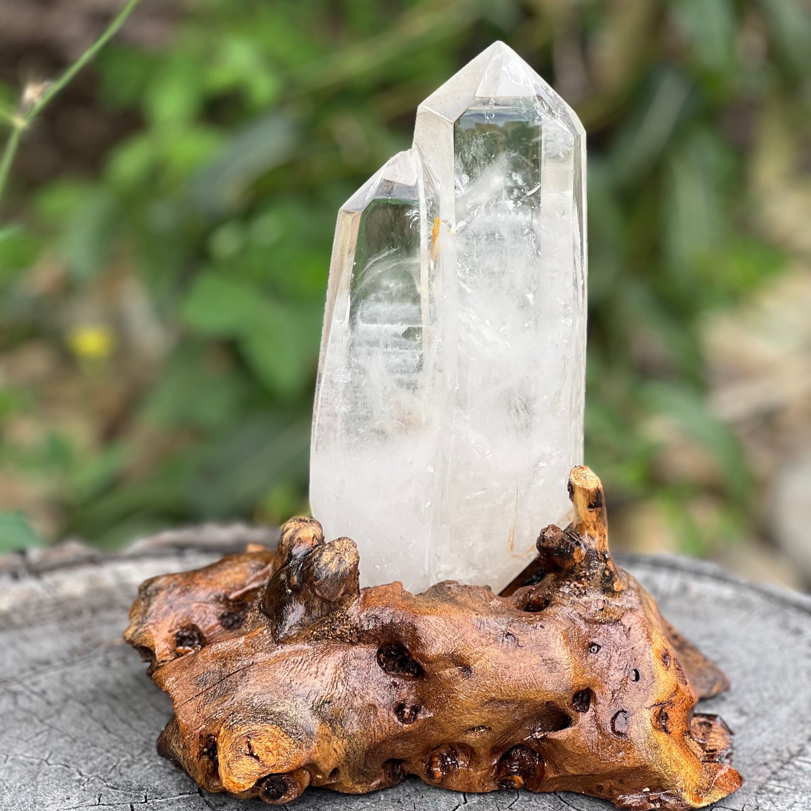 Clear Quartz Semi Raw Generator Point on wooden stand