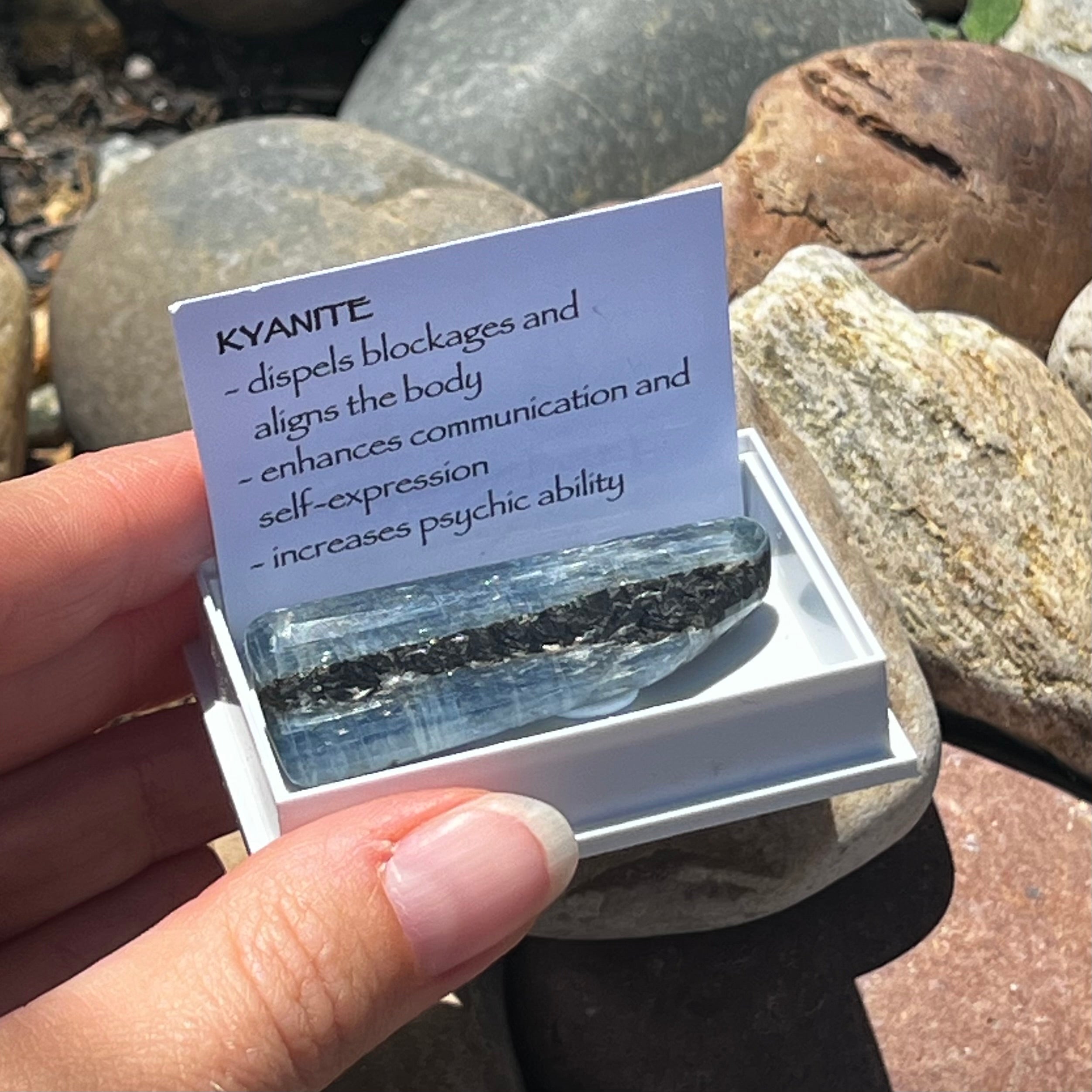 Kyanite  ~ Specialty Boxed Crystal