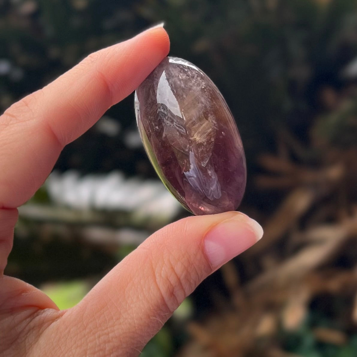 Ametrine  ~ Specialty Boxed Crystal ~ 1