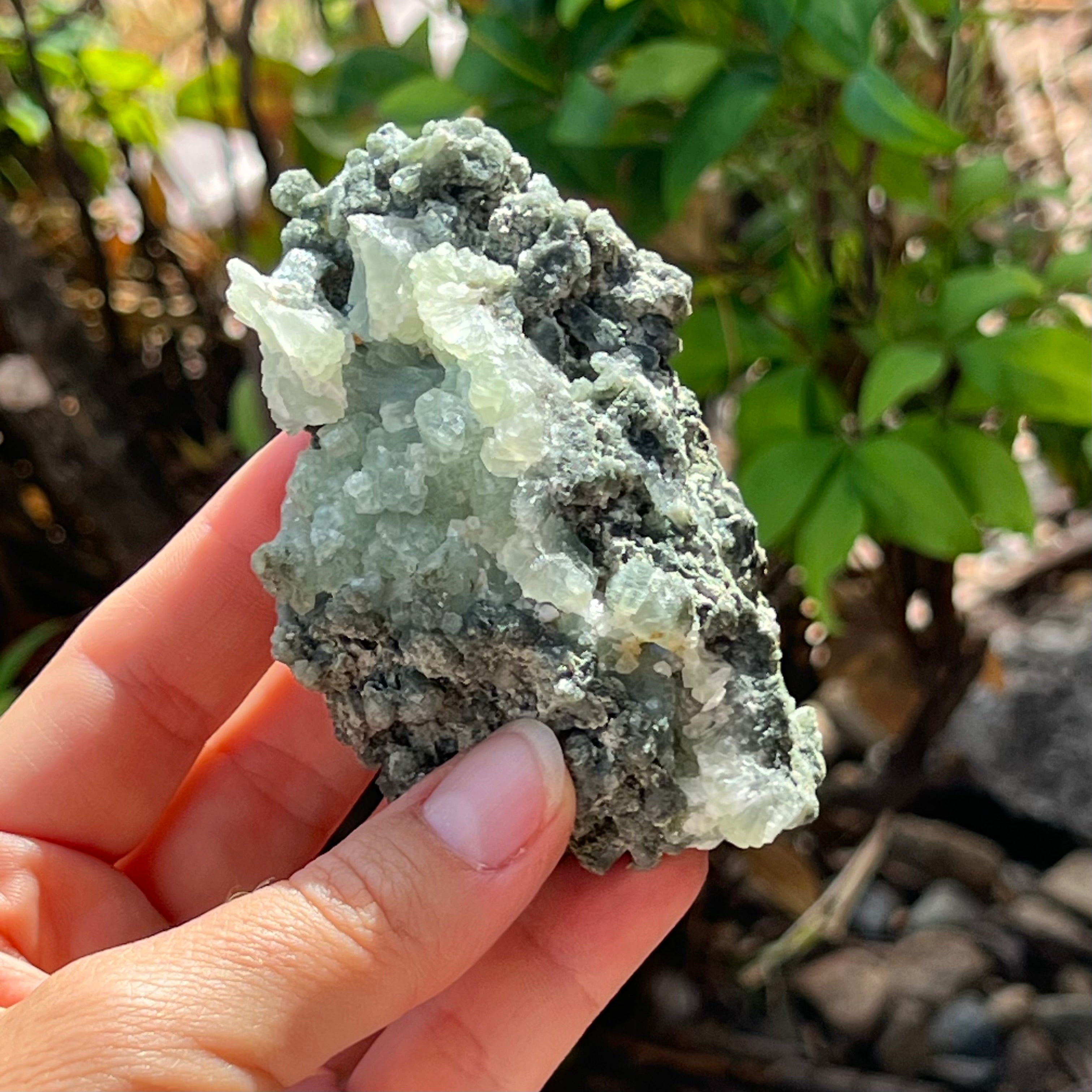 Prehnite ~ Specialty Crystal