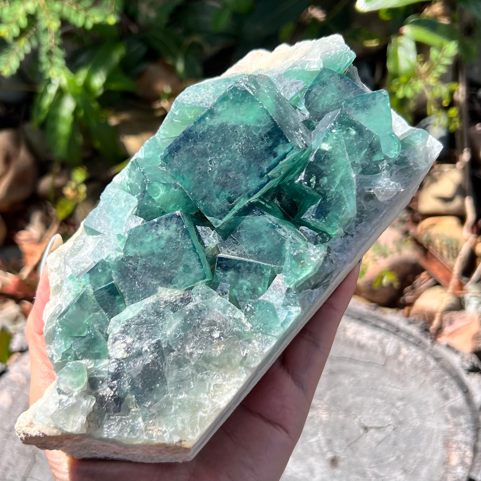 Raw Green Fluorite on Matrix