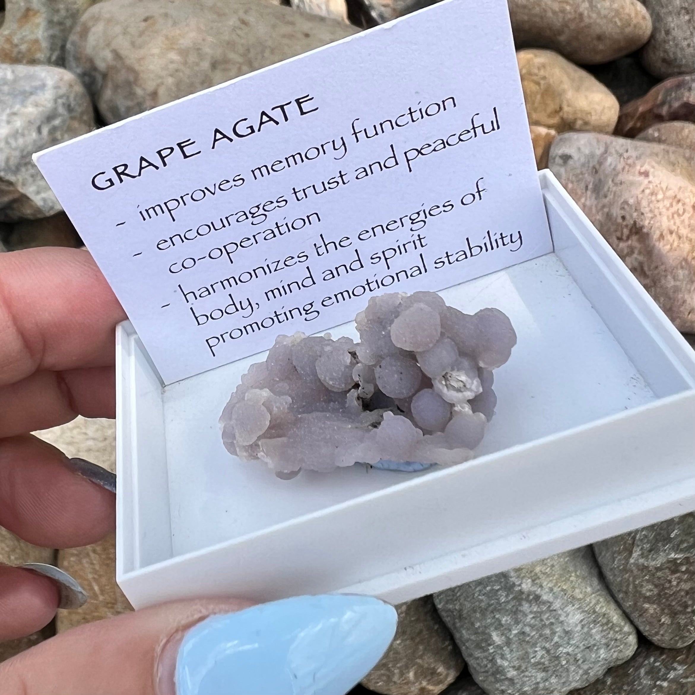 Raw Grape Agate Specimen ~ Specialty Boxed Crystal