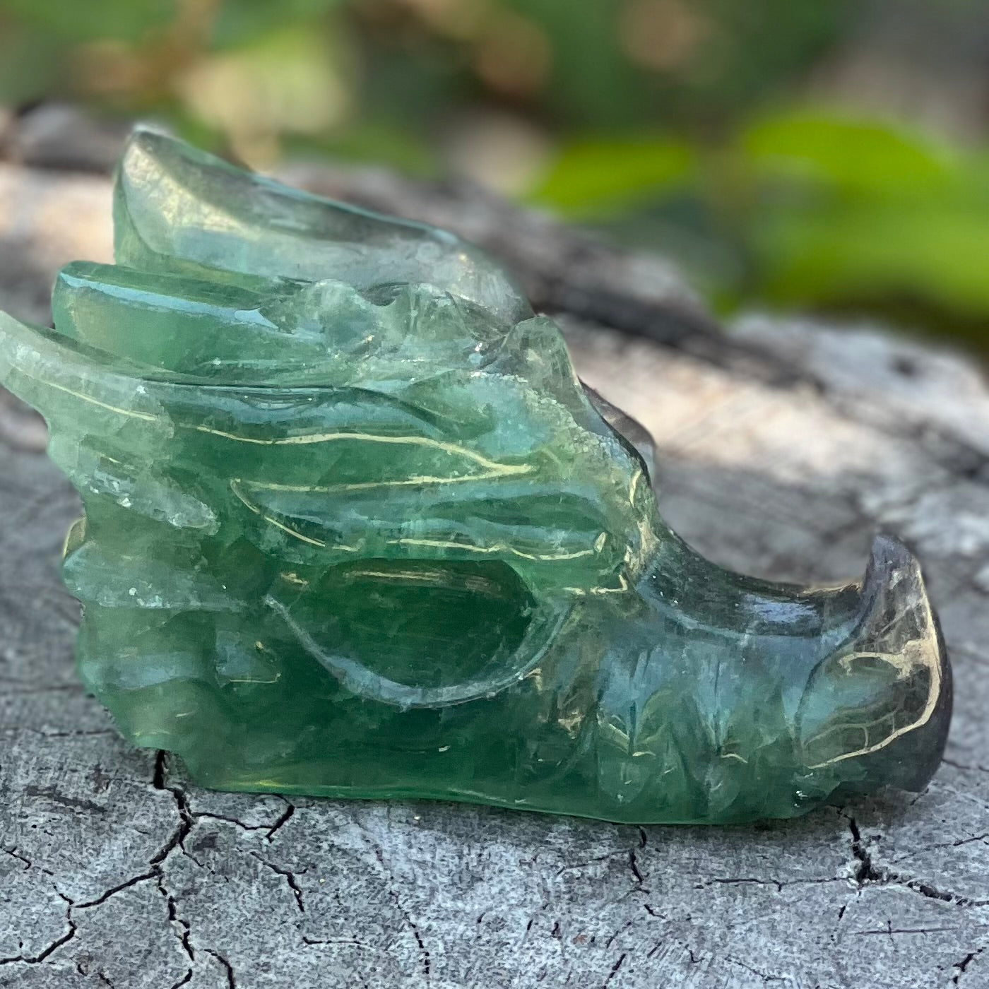 Rainbow Fluorite Dragon Head