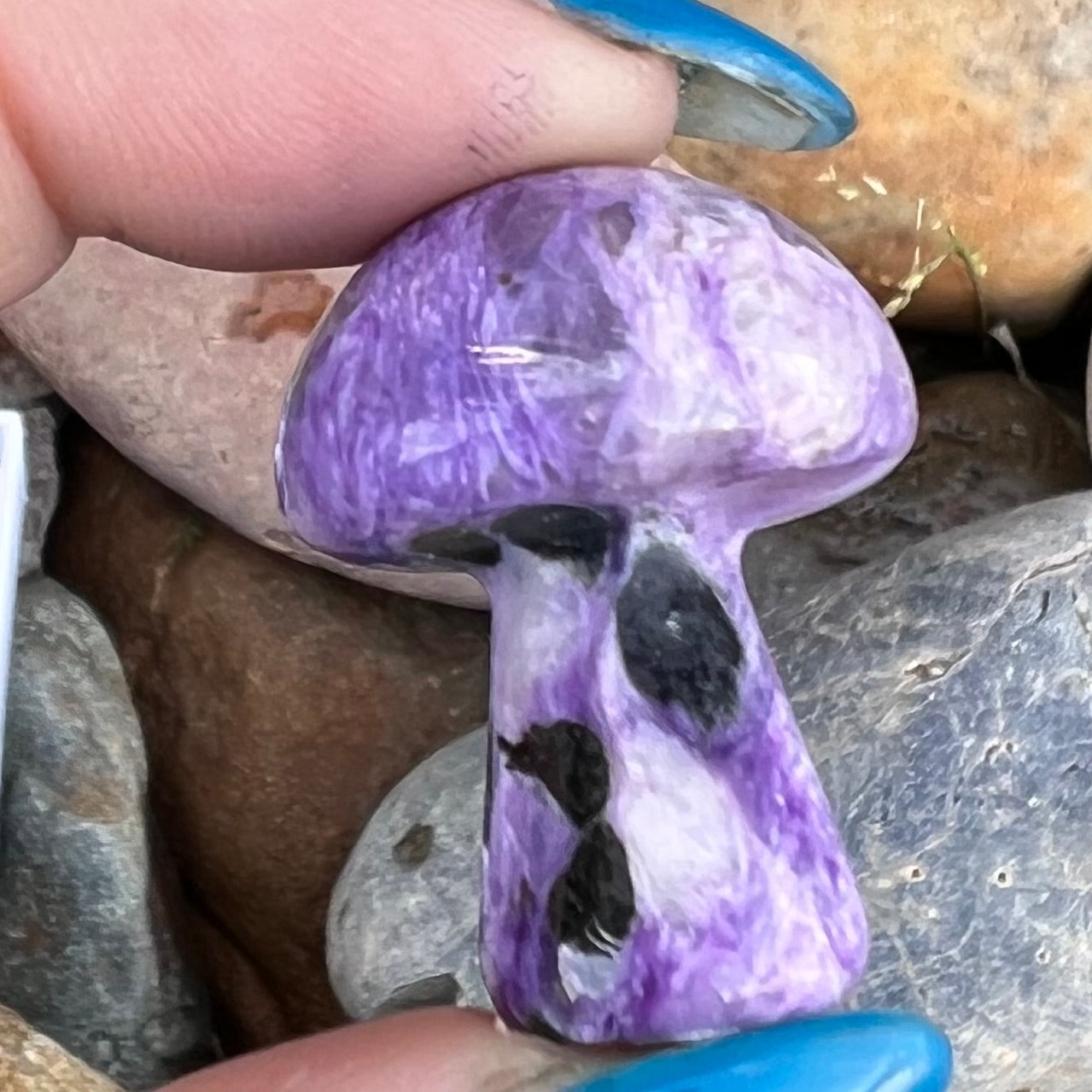 Chariote Mushroom ~ Specialty Boxed Crystal