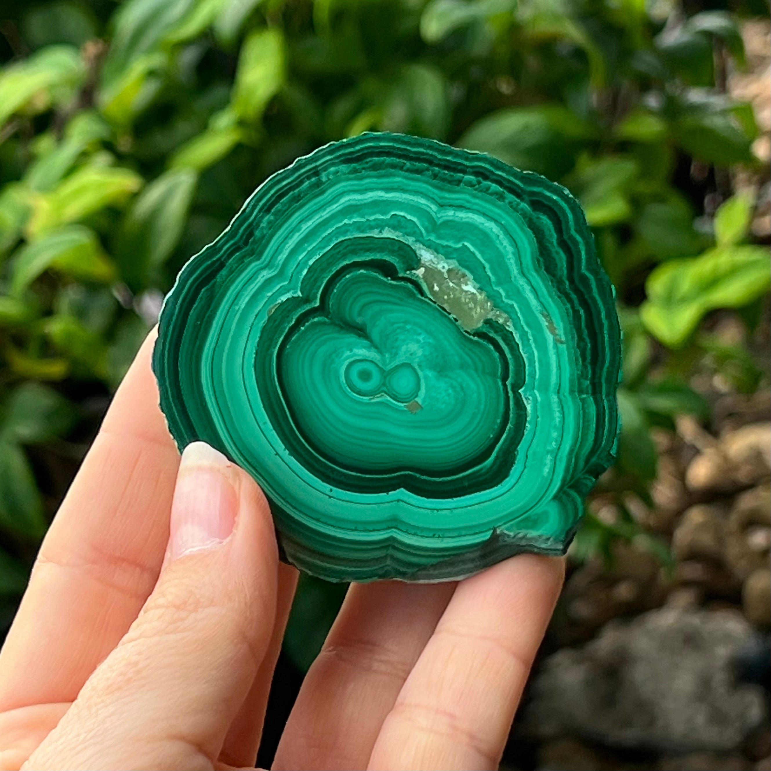 Malachite ~ Transformation