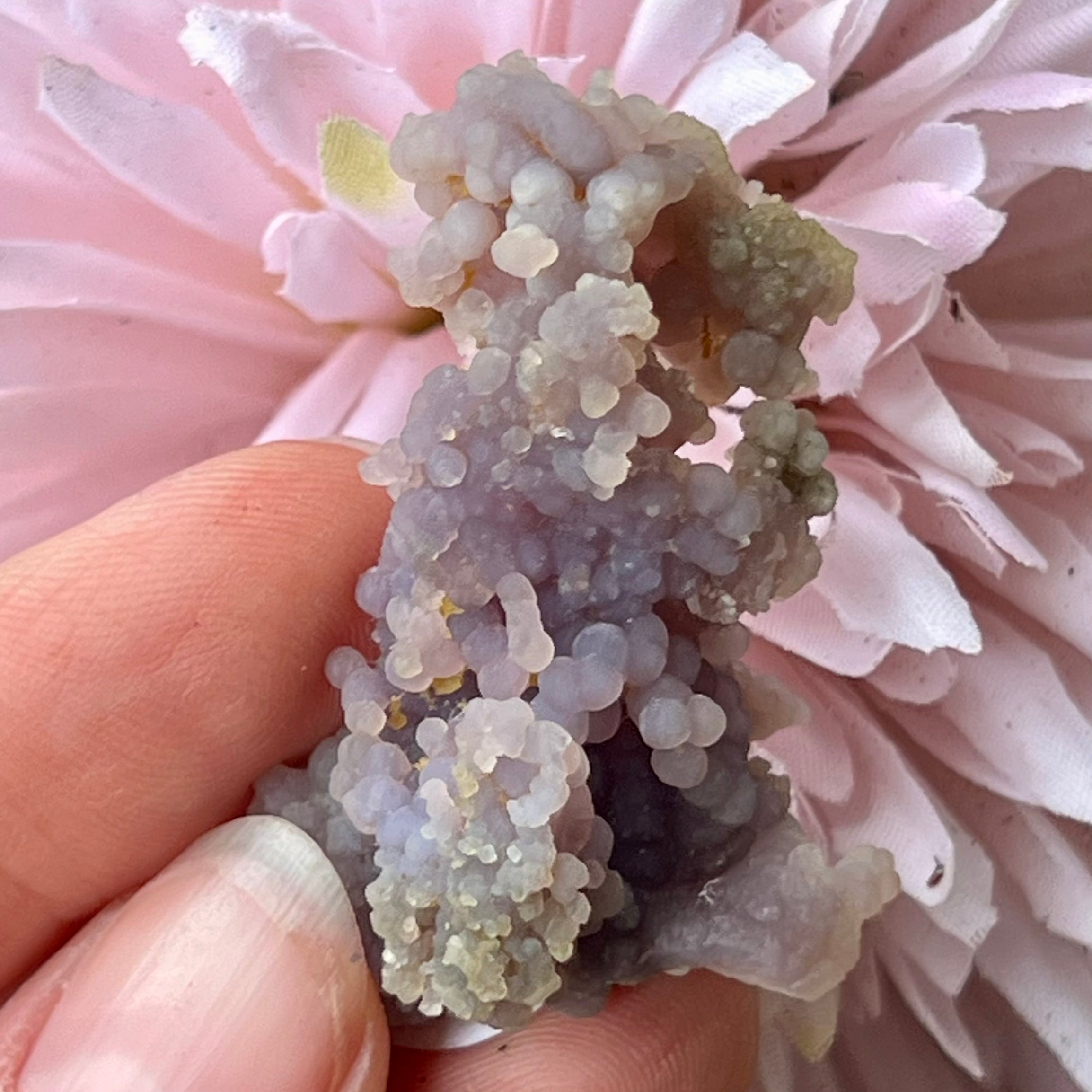 Grape Agate ~ Specialty Crystal