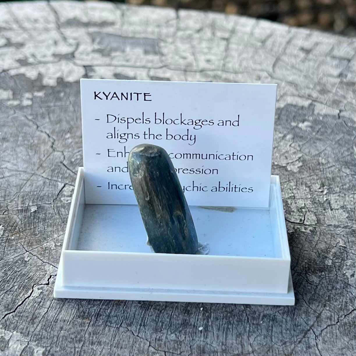 Kyanite Specimen ~ Specialty Boxed Crystal
