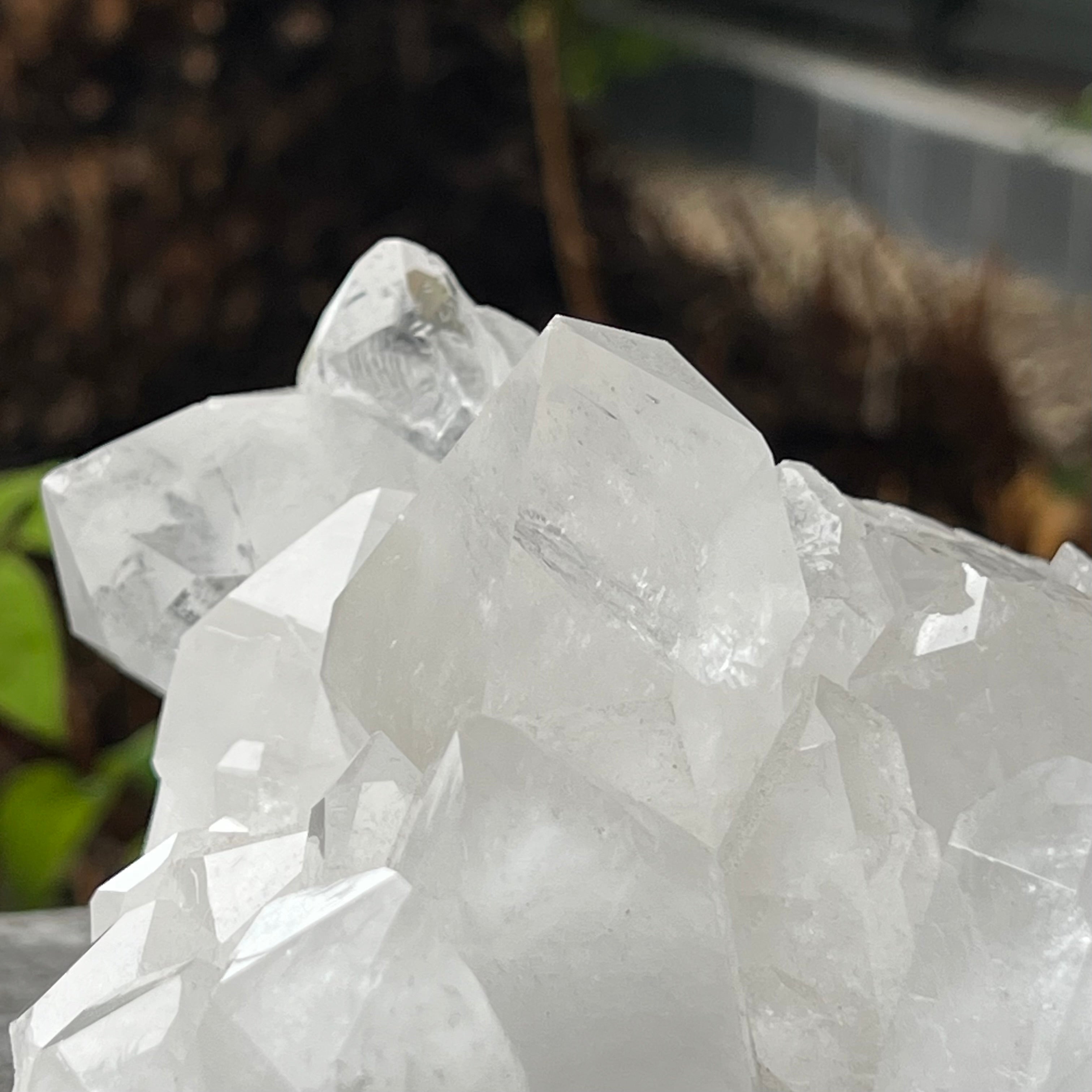 Clear Quartz Cluster
