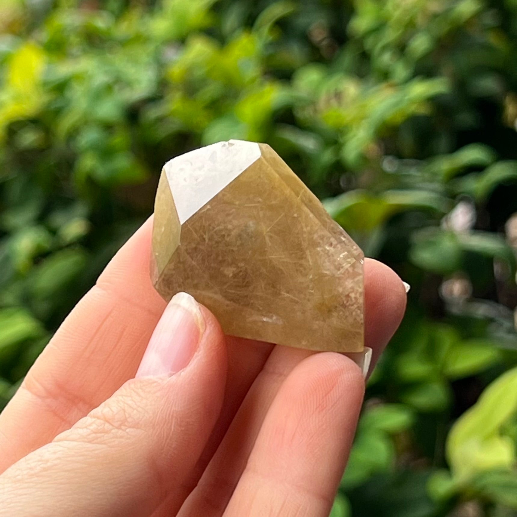 Rutilated Quartz ~ Specialty Boxed Crystal