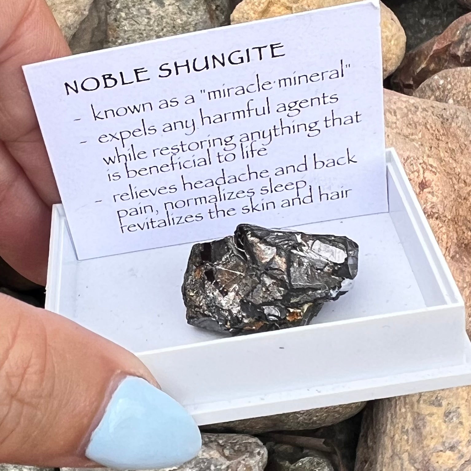 Noble Shungite ~ Specialty Boxed Crystal