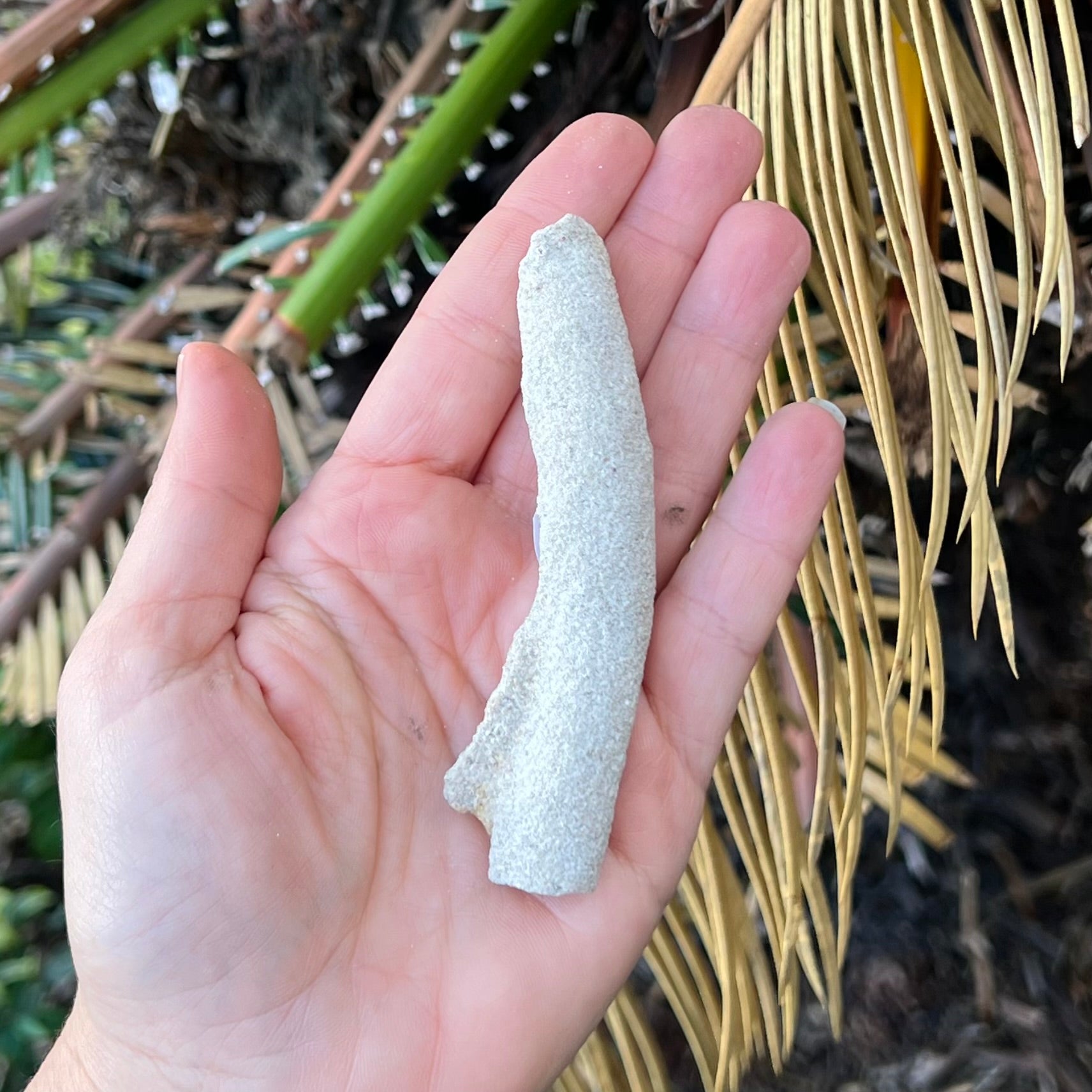 Fulgurite – Petrified Lightning in Your Hands