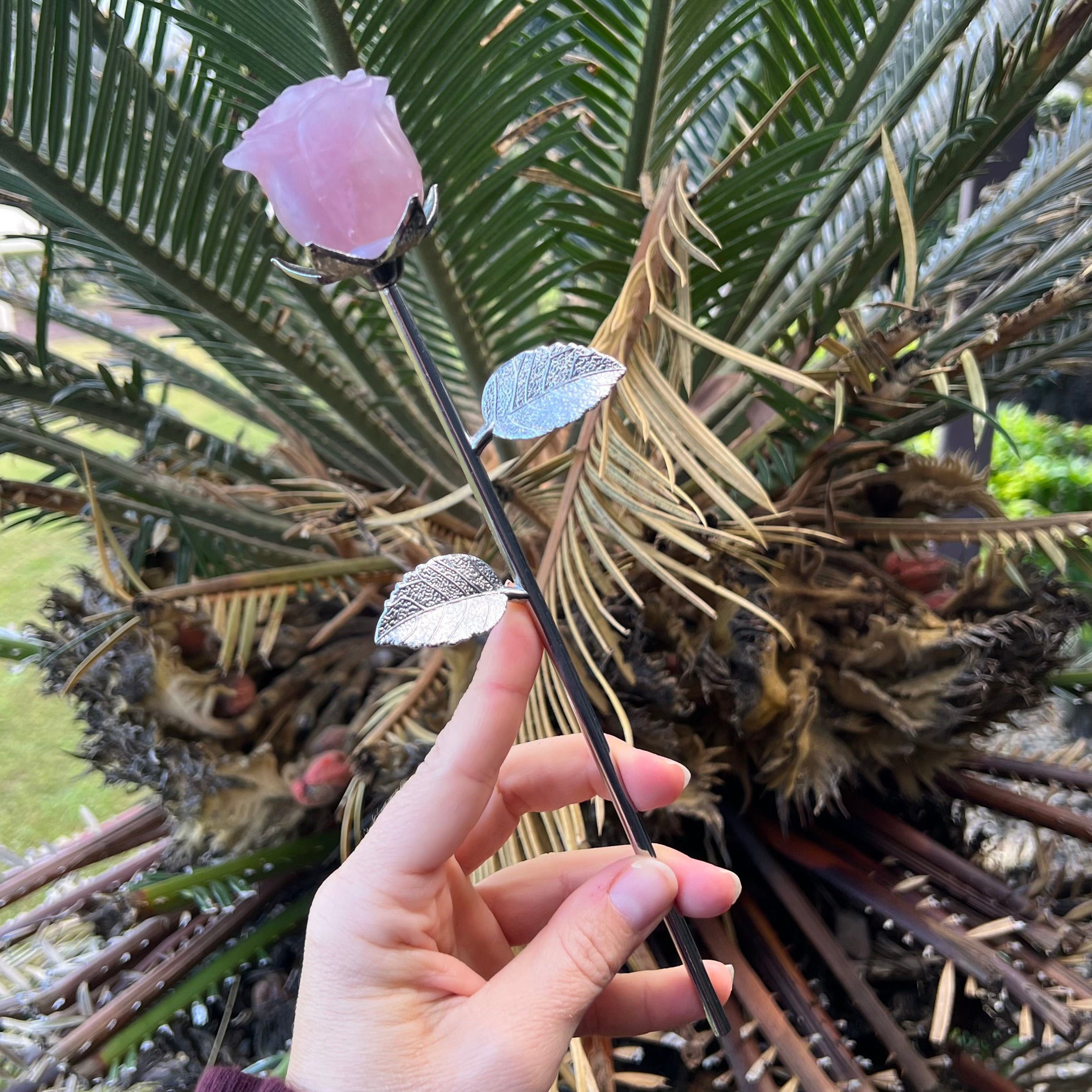 Rose Quartz Everlasting Rose
