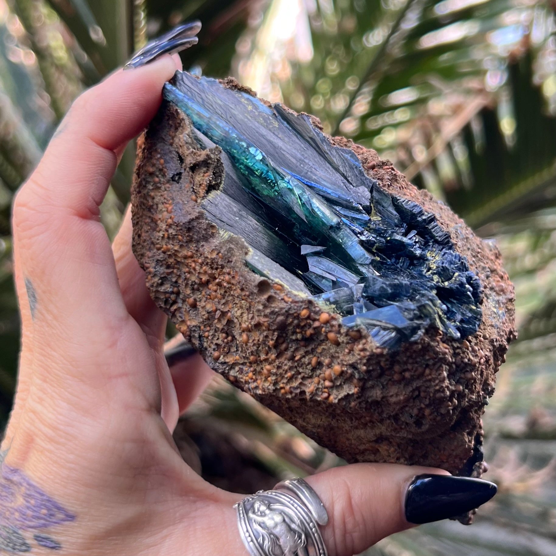 RARE… Vivianite on Matrix Specimen