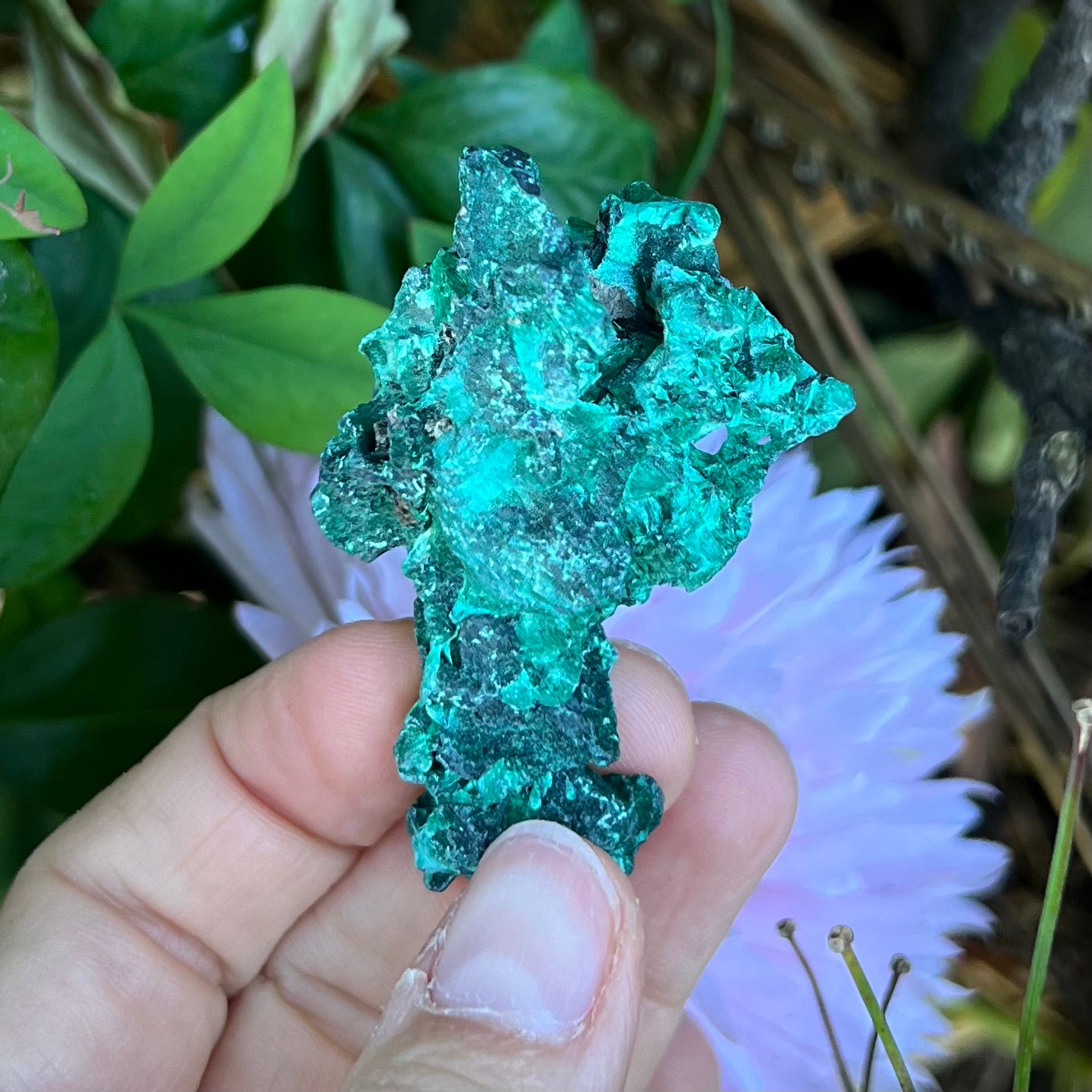 Raw Malachite Specimen ~ Transformation