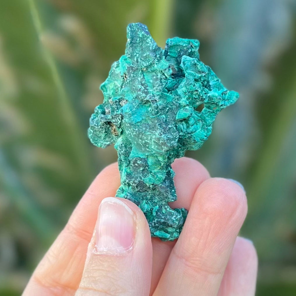 Raw Malachite Specimen ~ Transformation