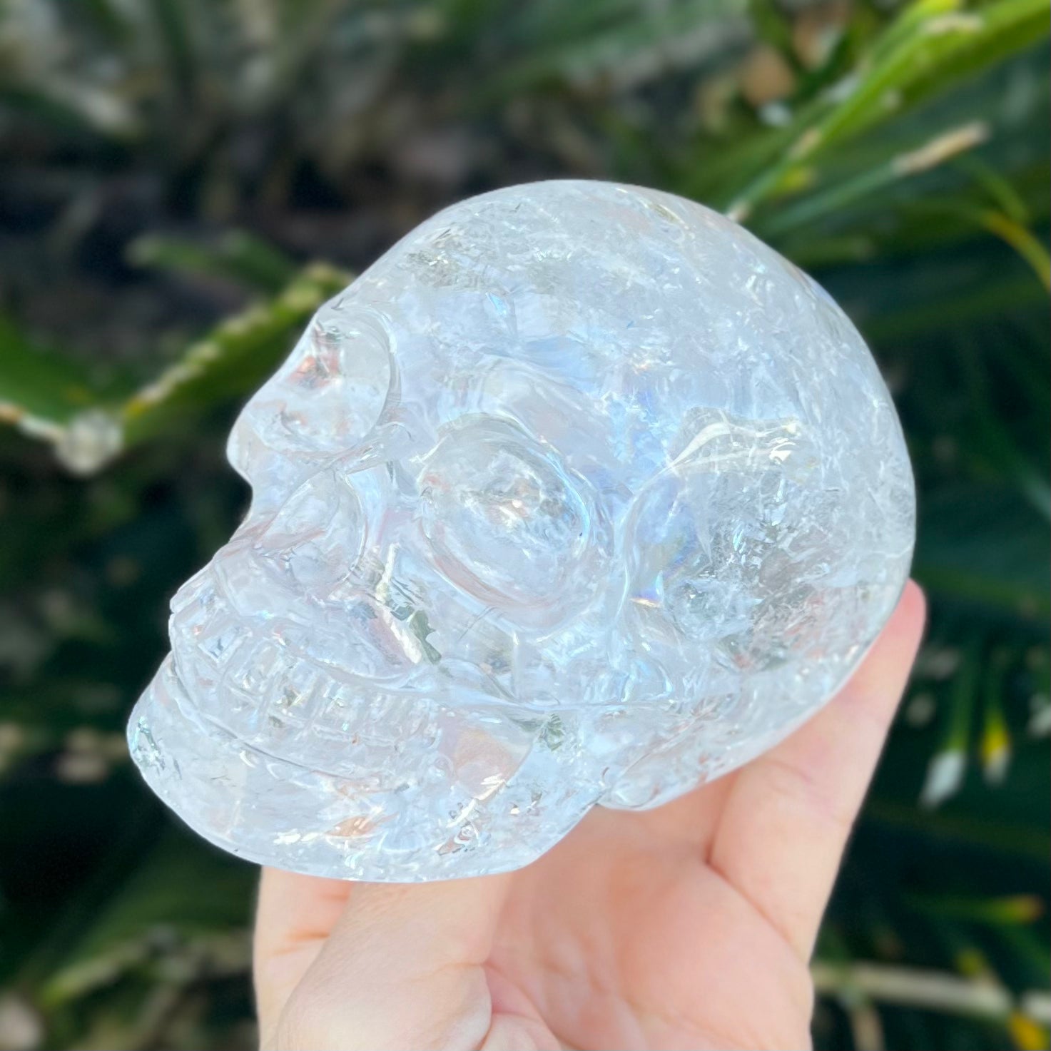 Clear Quartz Skull ~ Carving