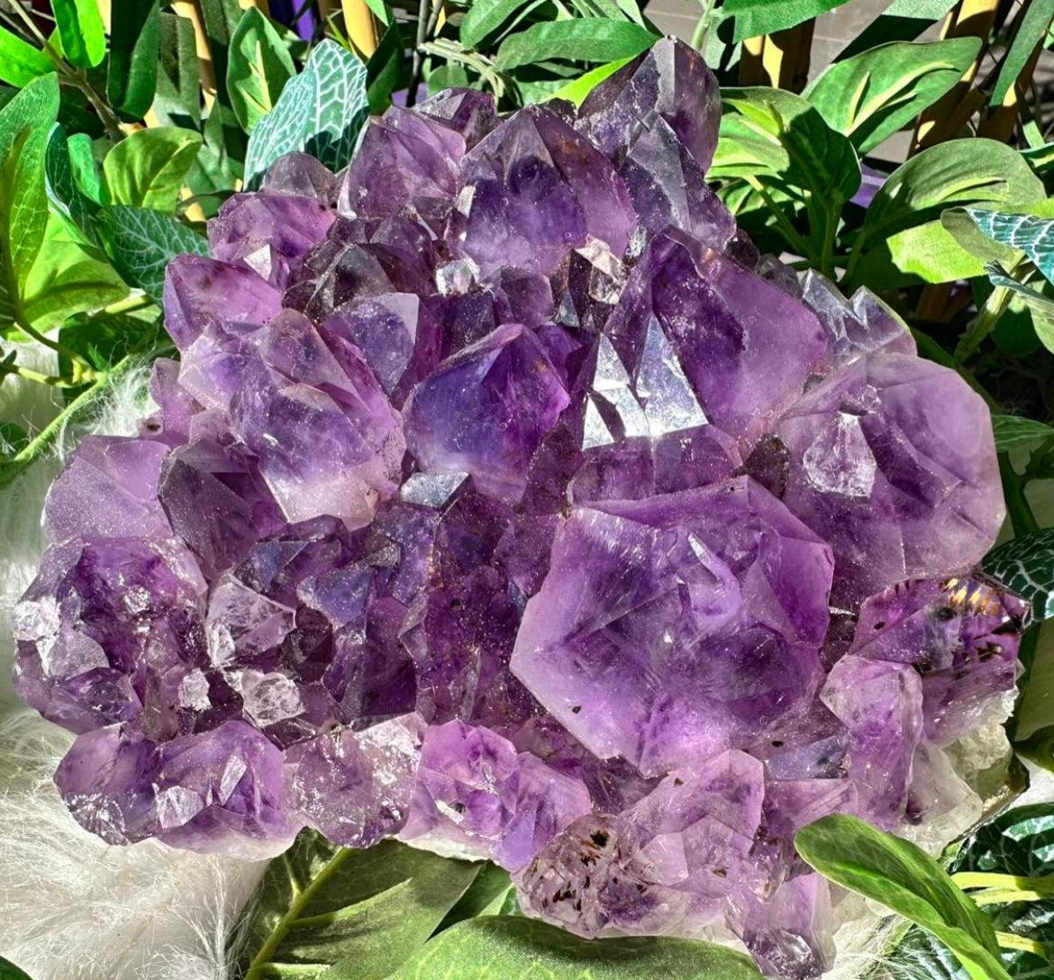 Amethyst Cluster Large - Muse Crystals & Mystical Gifts