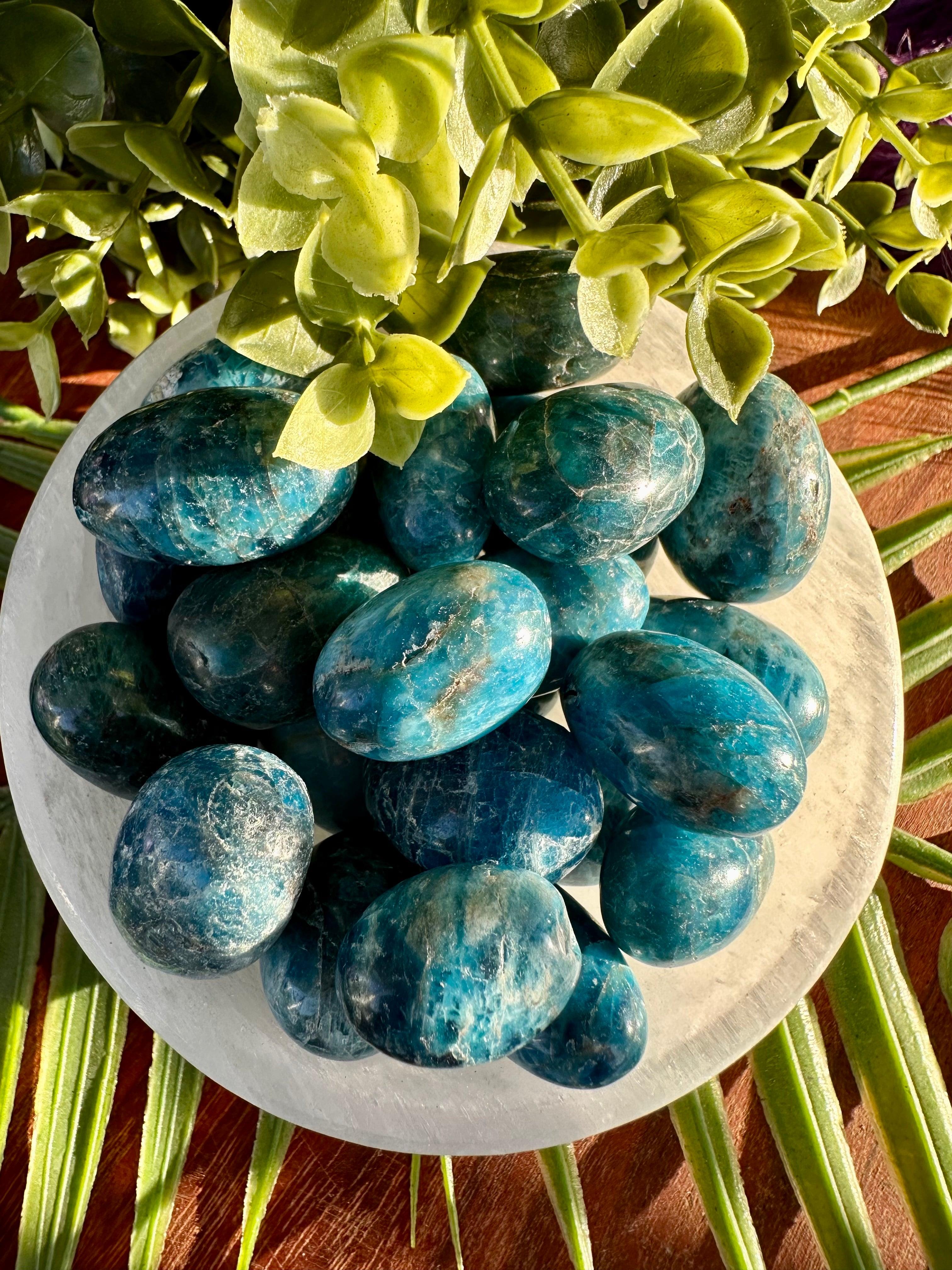 Blue Apatite Tumble Stone - Muse Crystals & Mystical Gifts