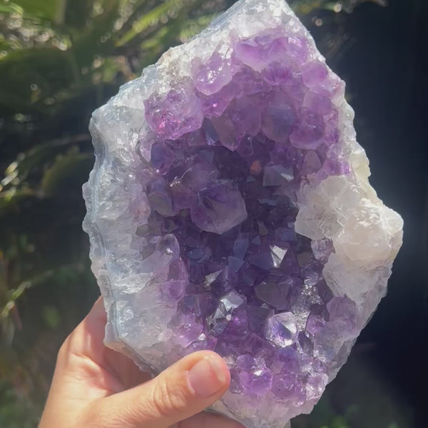 Amethyst Cluster