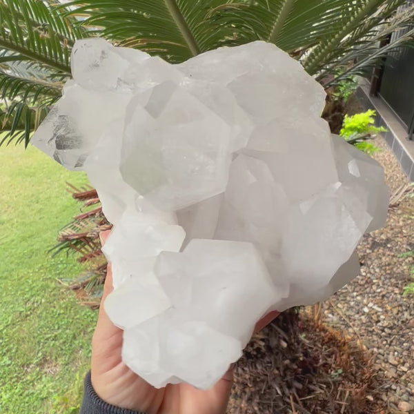 Clear Quartz Cluster