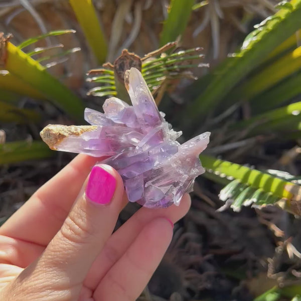 Vera Cruz Amethyst