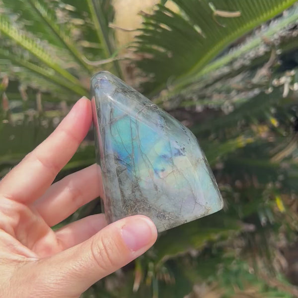 Labradorite Freeform