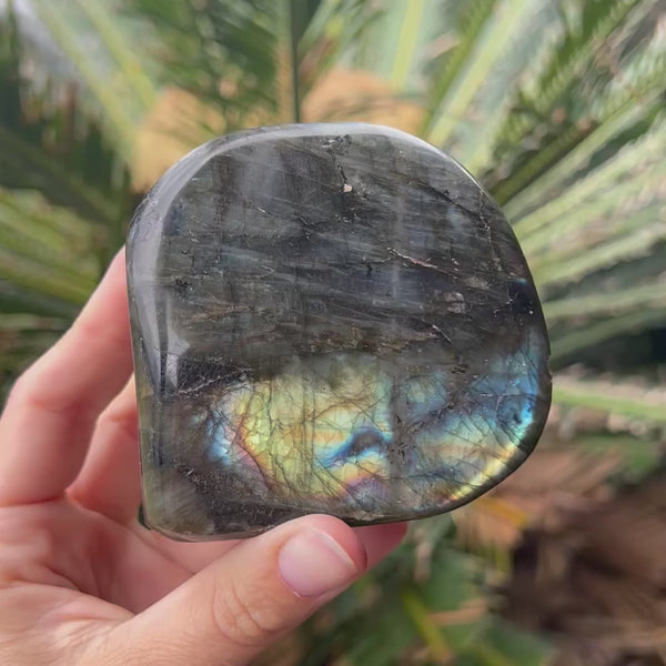 Labradorite Freeform ~ 2