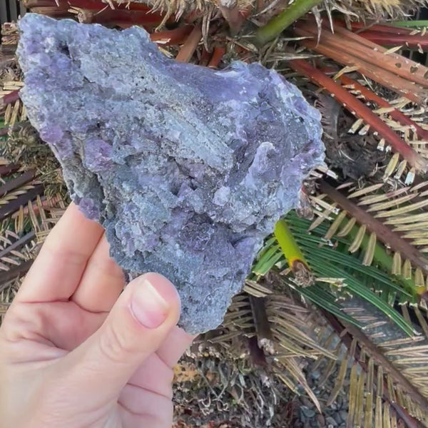 Natural Purple Fluorite Cluster