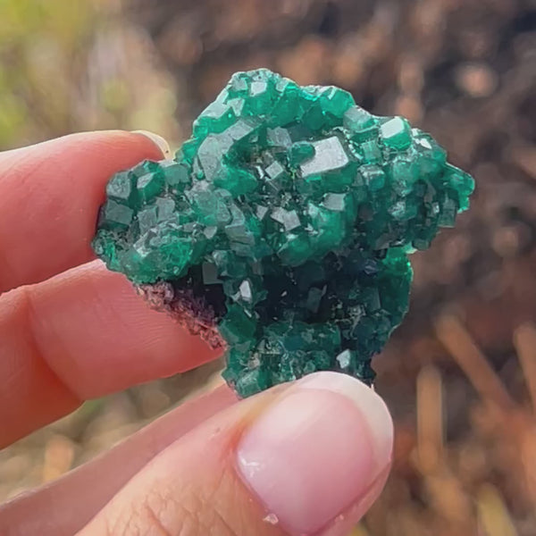 Diopsite ~ Specialty Crystal