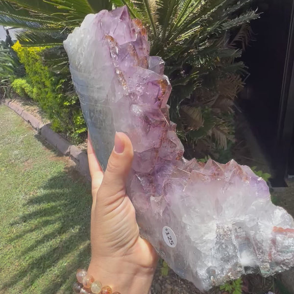 Amethyst Cluster