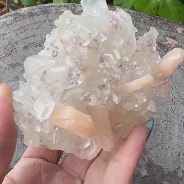 Natural Apophyllite Cluster