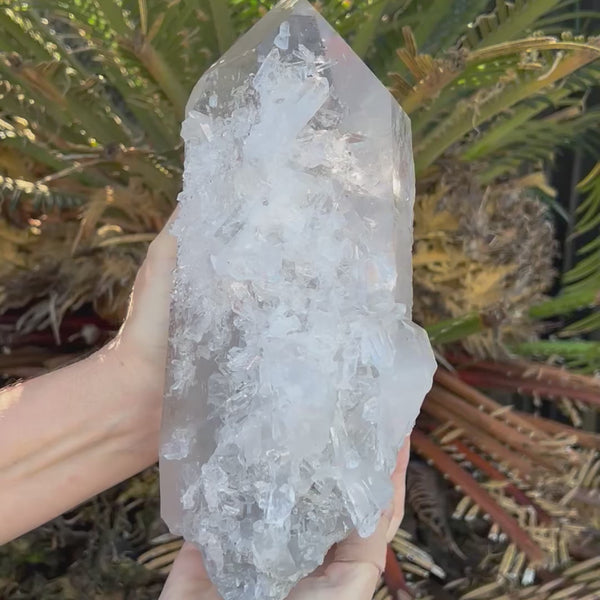 Barnacle Quartz Cluster