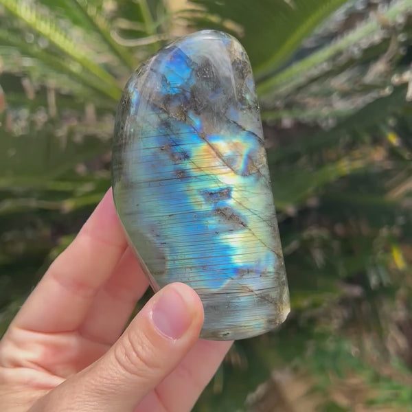 Labradorite Freeform