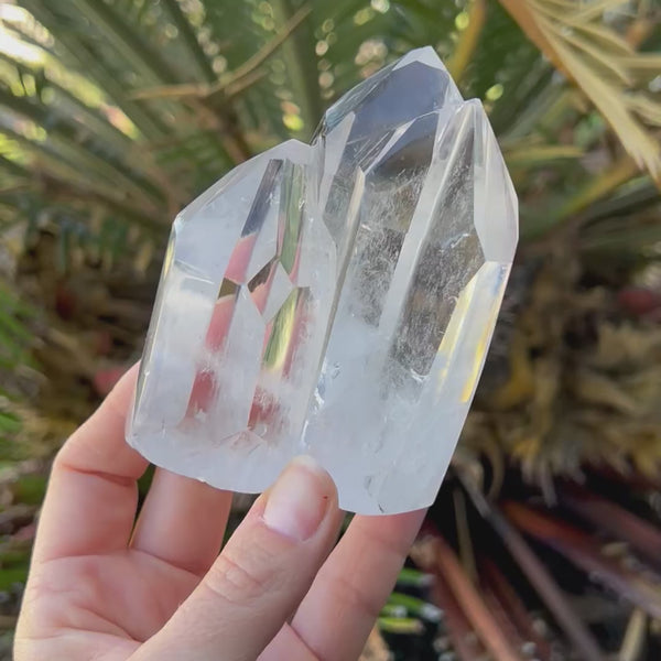 Clear Quartz Family Cluster