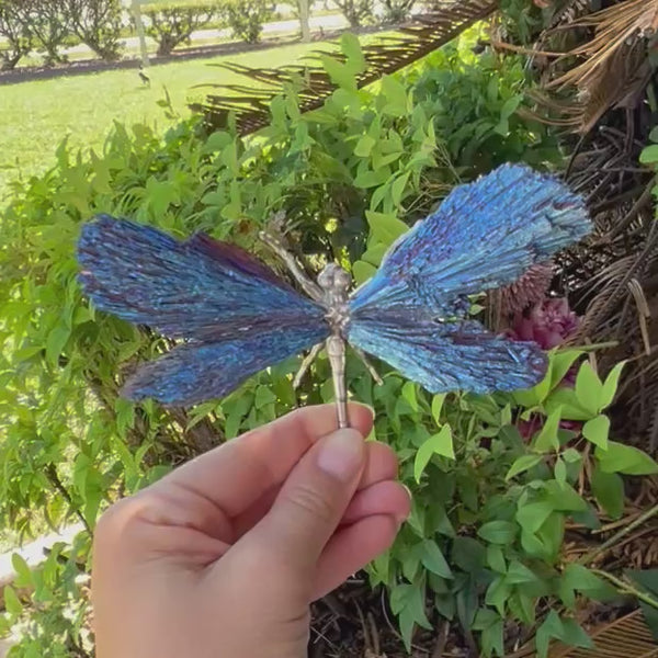 Dragon Fly ~ Blue Kyanite Electroplate
