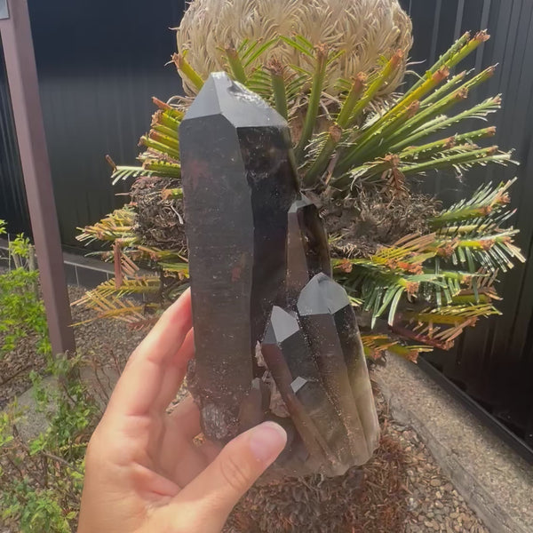 Smoky Quartz ~ Natural Point Cluster