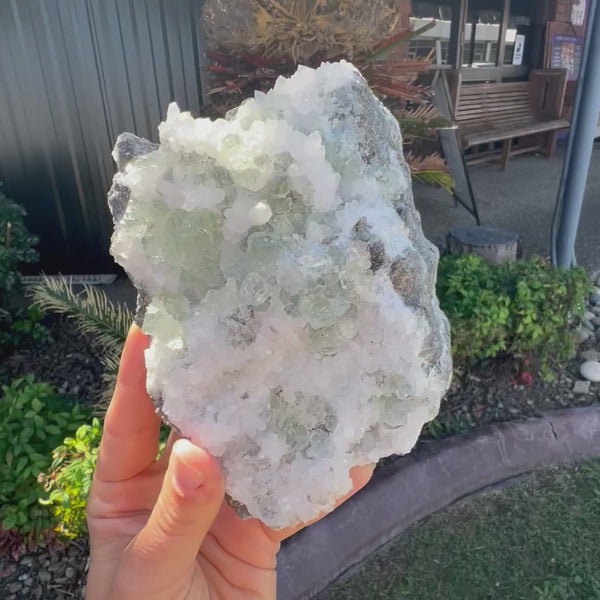 Apophylite Cluster