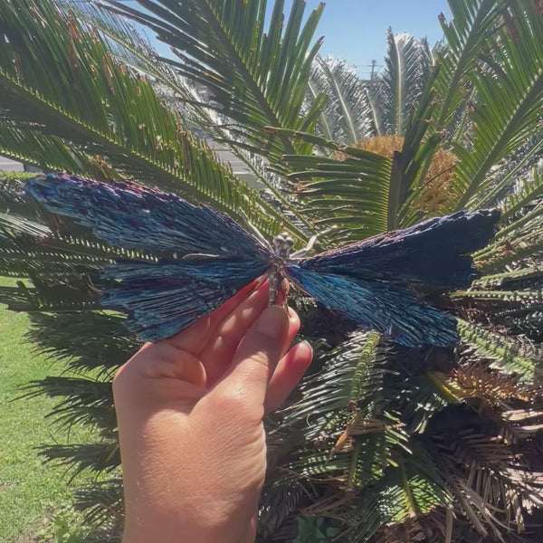 Dragonfly ~ Blue Kyanite Electroplate Large