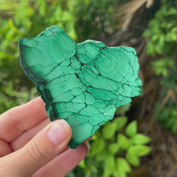 Malachite Slab ~ Specialty Crystal ~ Growth