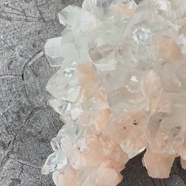 Natural Apophyllite Cluster
