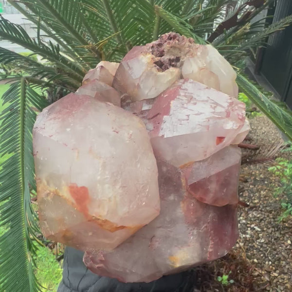 SALE ~ Red Amethyst Cluster