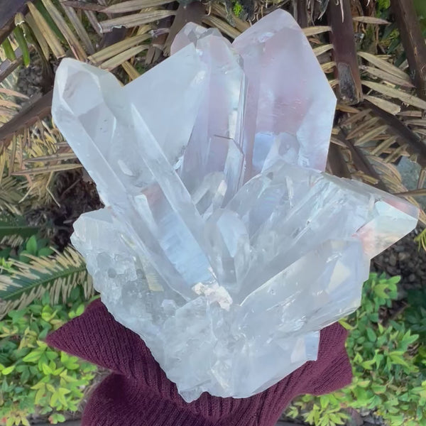 Clear Quartz Family Cluster