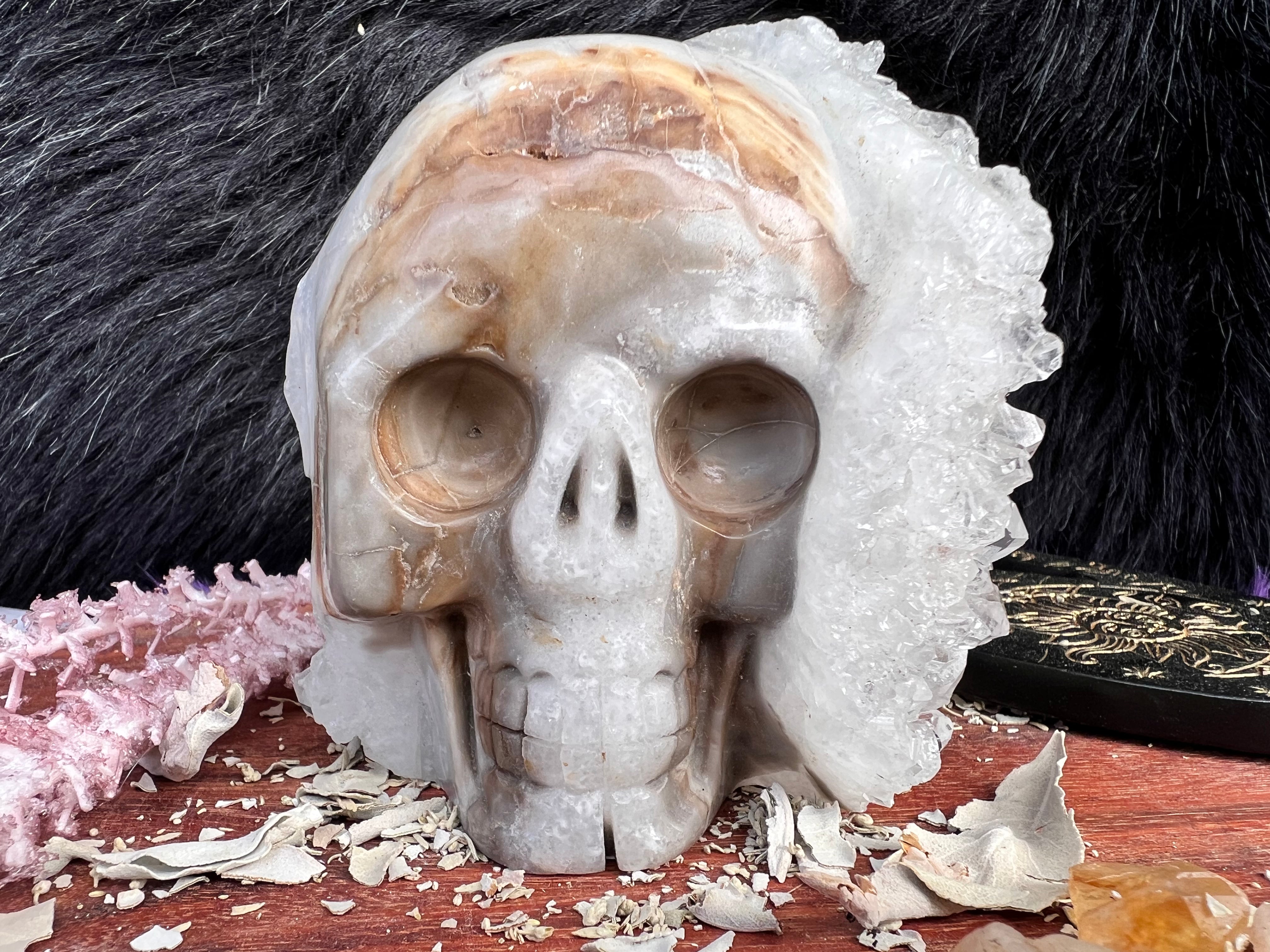 Quartz Skull Carving QZ01 - Muse Crystals & Mystical Gifts