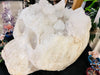 The Guardian - Massive Clear Quartz Skull - Muse Crystals & Mystical Gifts